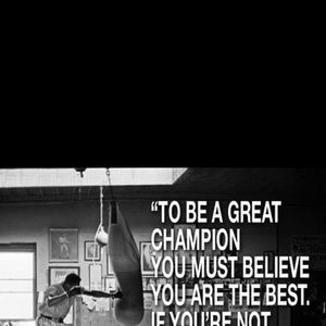 Meet your Posher, Andrew